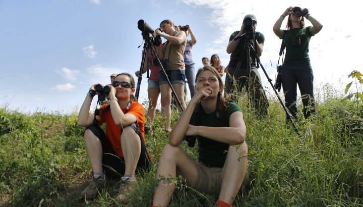 groupes d'observateurs assis et debout dans l'herbe, munis de jumelles